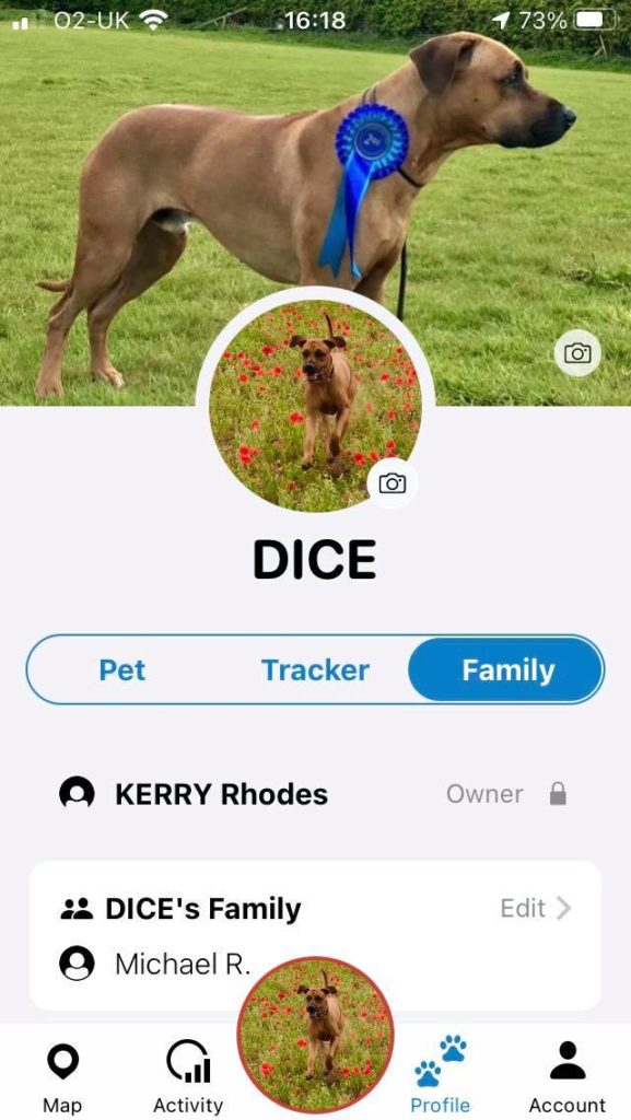 Fitbit dog outlet app