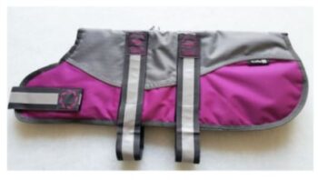 Padded Dog Coat