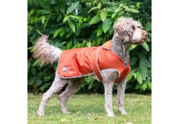 Stormguard Dog Coat - Image 7