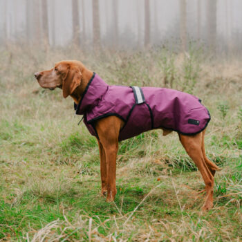 Danish Design 3 in 1 Dog Coat