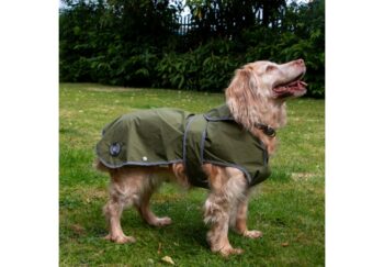 Stormguard Soft Shell Coat - Image 5